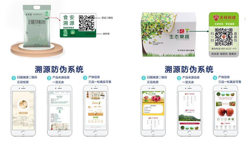 溯源與防偽系統開發 技術架構、應用場景與實施指南