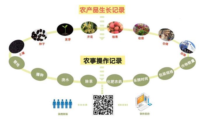 二維碼防偽溯源系統的工作原理是什么?實際應用中能解決哪些問題?